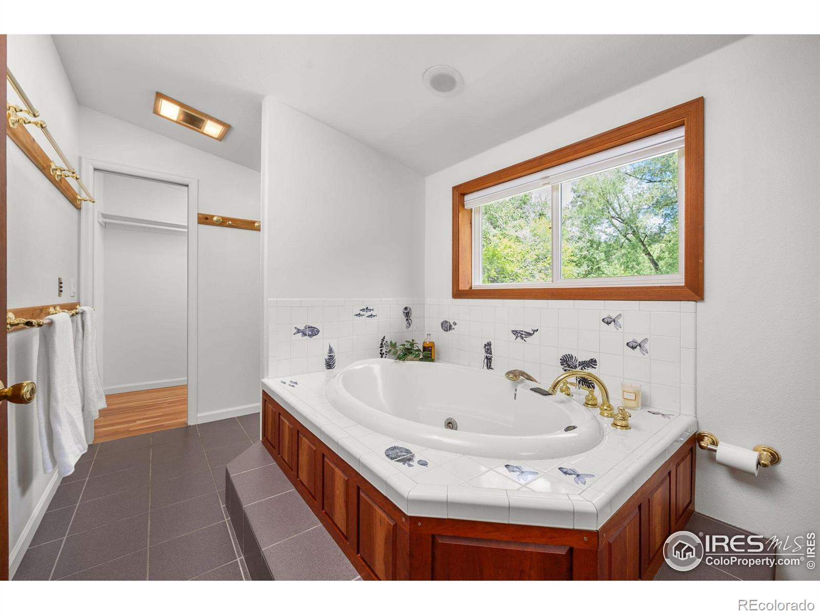 MLS Image #23 for 51  main street,jamestown, Colorado