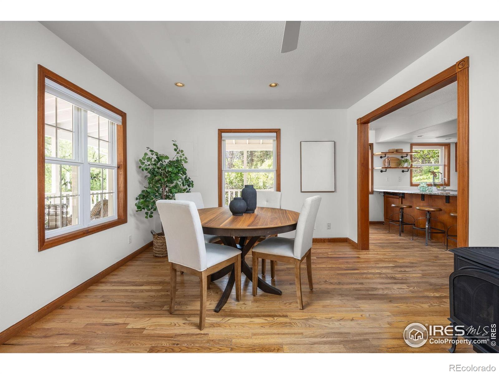 MLS Image #5 for 51  main street,jamestown, Colorado