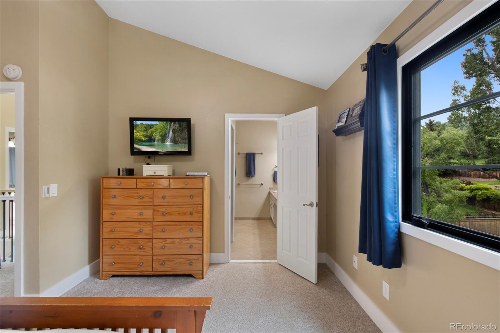 MLS Image #18 for 23  honey locust ,littleton, Colorado