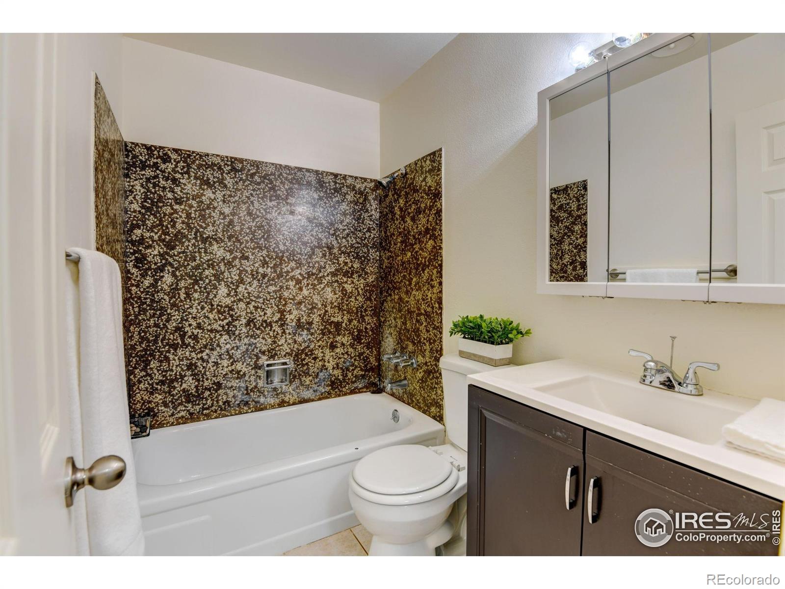 MLS Image #17 for 2913 w olive street,fort collins, Colorado
