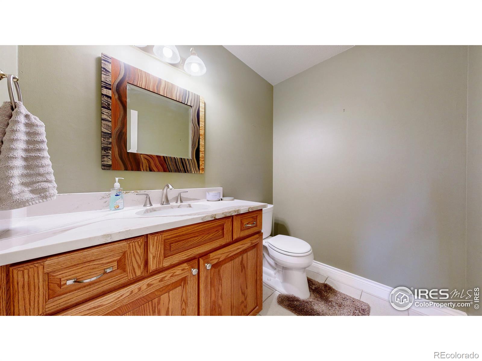 MLS Image #14 for 10950  elk horn run,littleton, Colorado