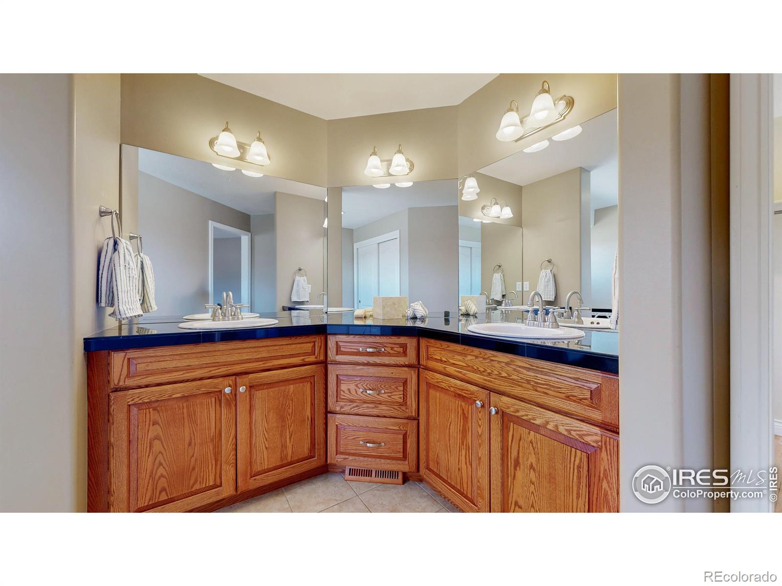 MLS Image #17 for 10950  elk horn run,littleton, Colorado