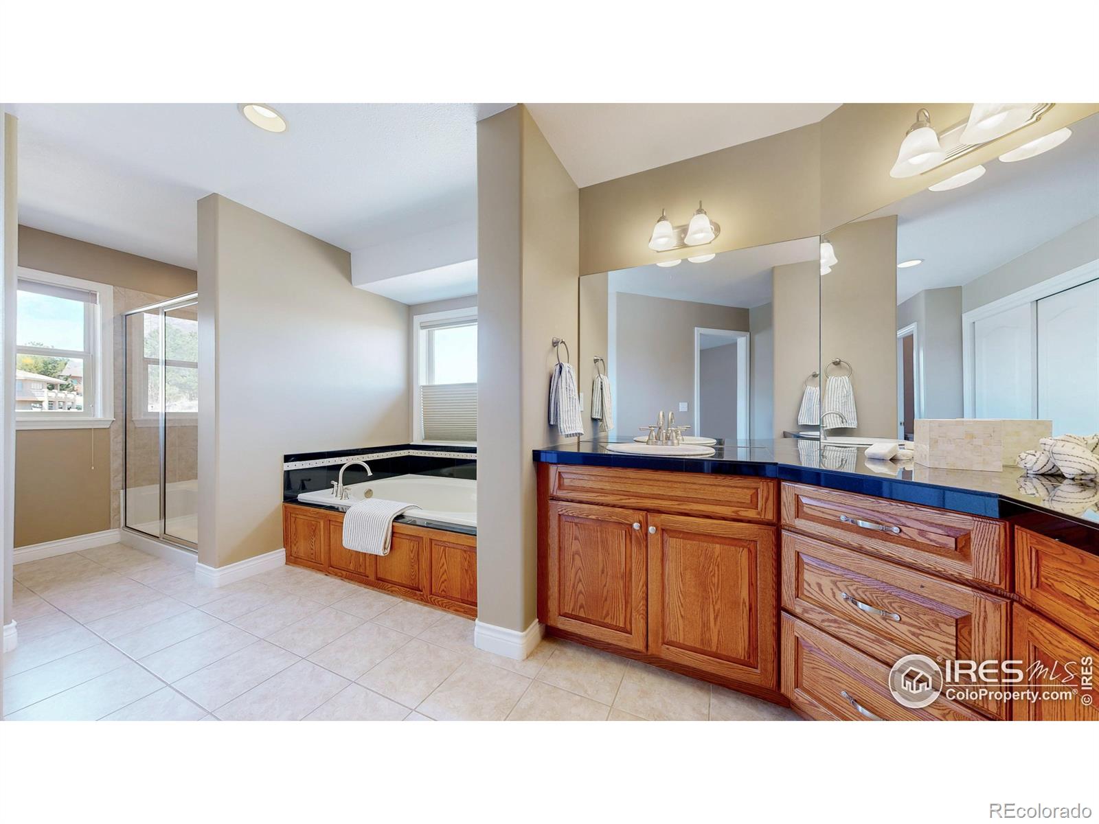 MLS Image #19 for 10950  elk horn run,littleton, Colorado