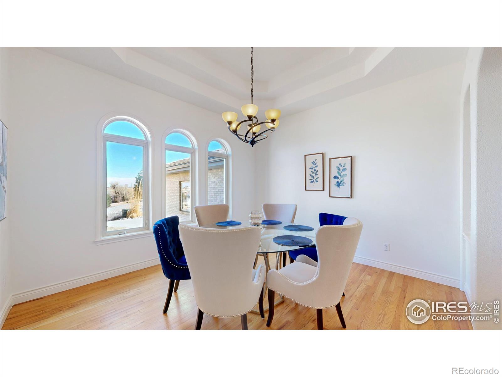 MLS Image #4 for 10950  elk horn run,littleton, Colorado