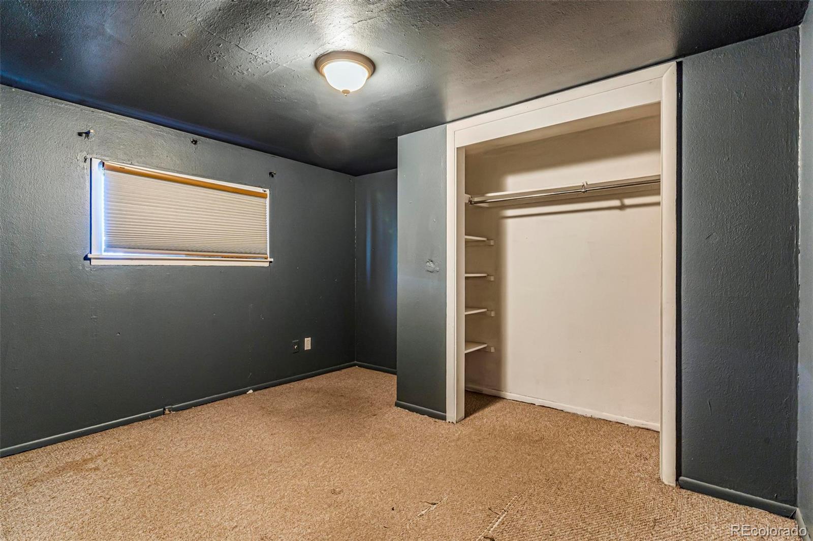 MLS Image #19 for 1219  lilac drive,lochbuie, Colorado