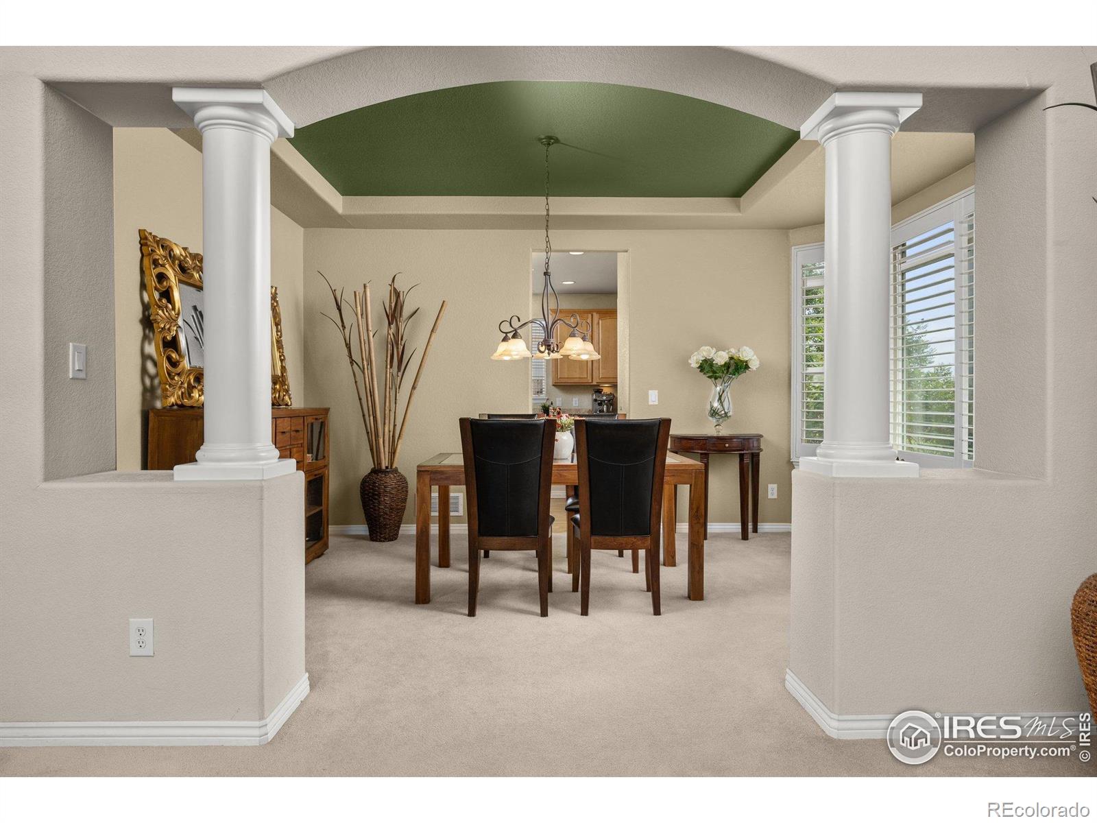 MLS Image #7 for 14246  piney river road,broomfield, Colorado