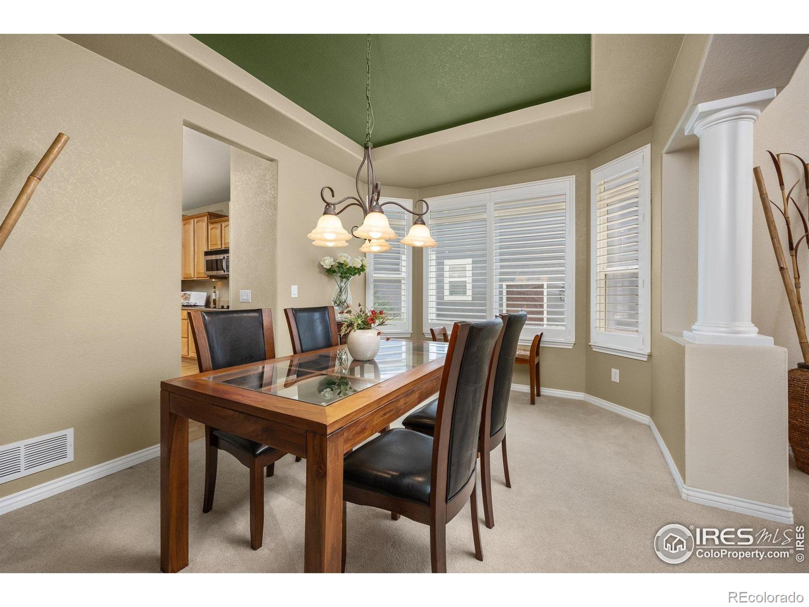 MLS Image #8 for 14246  piney river road,broomfield, Colorado