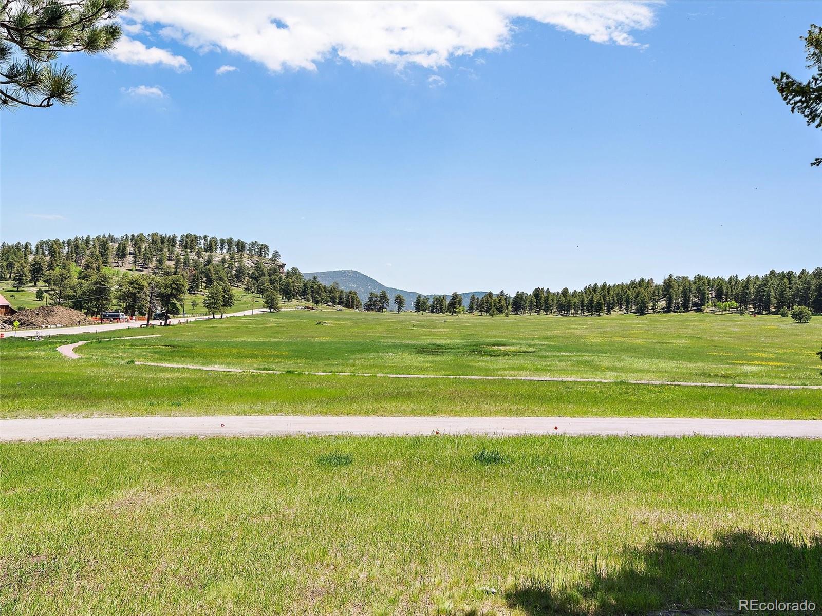 MLS Image #19 for 31756  buffalo park road,evergreen, Colorado