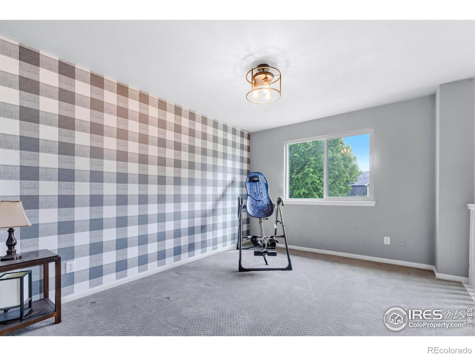 MLS Image #14 for 116  cobble court,windsor, Colorado