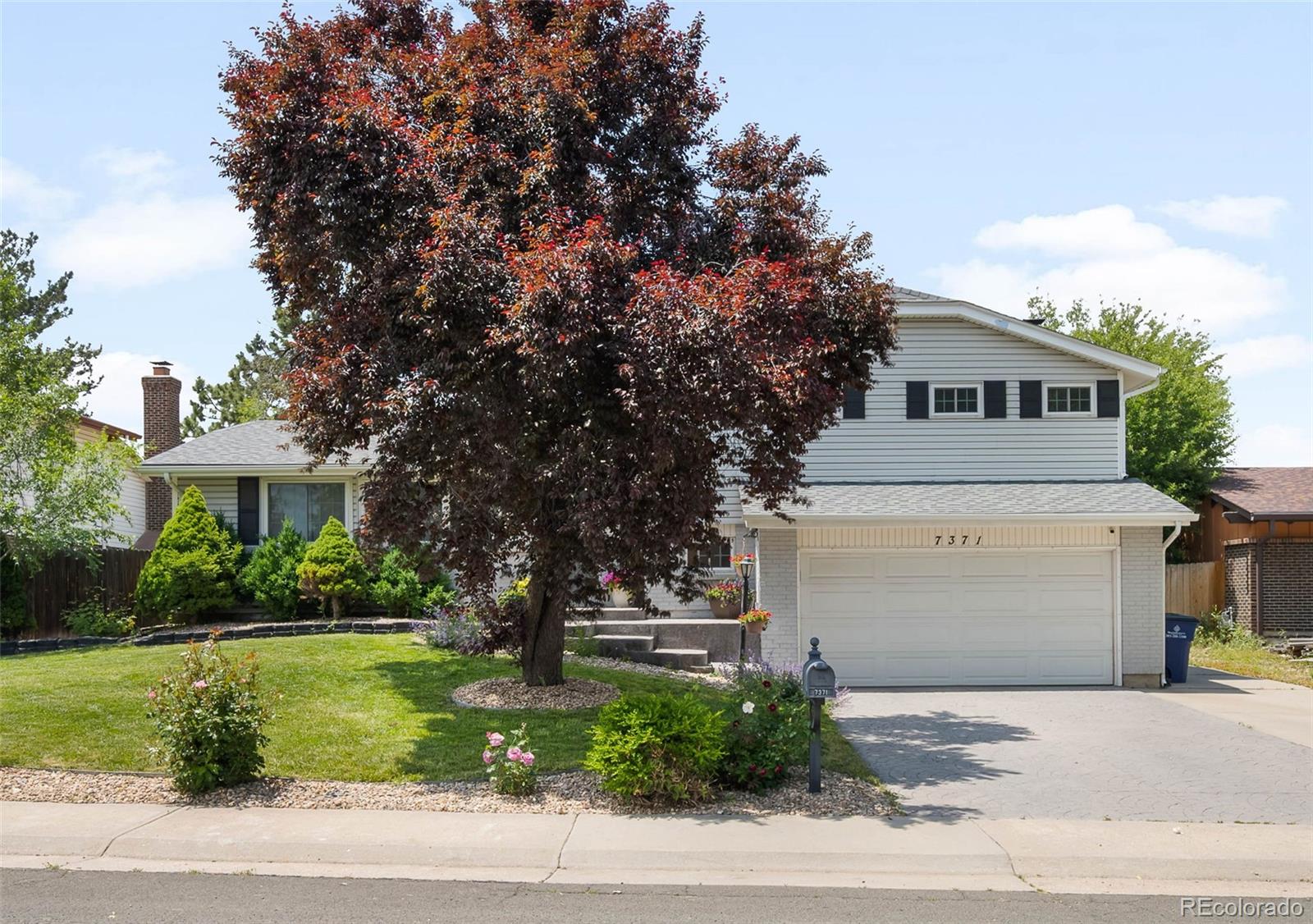 MLS Image #3 for 7371  otis court,arvada, Colorado