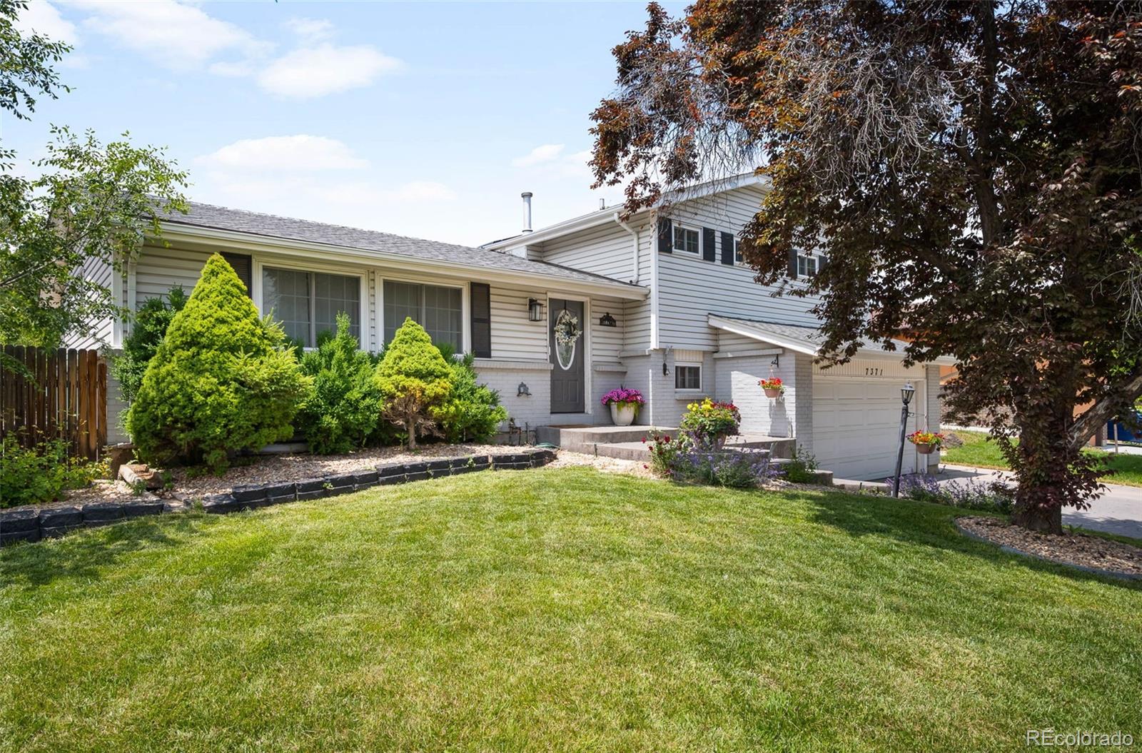 MLS Image #4 for 7371  otis court,arvada, Colorado