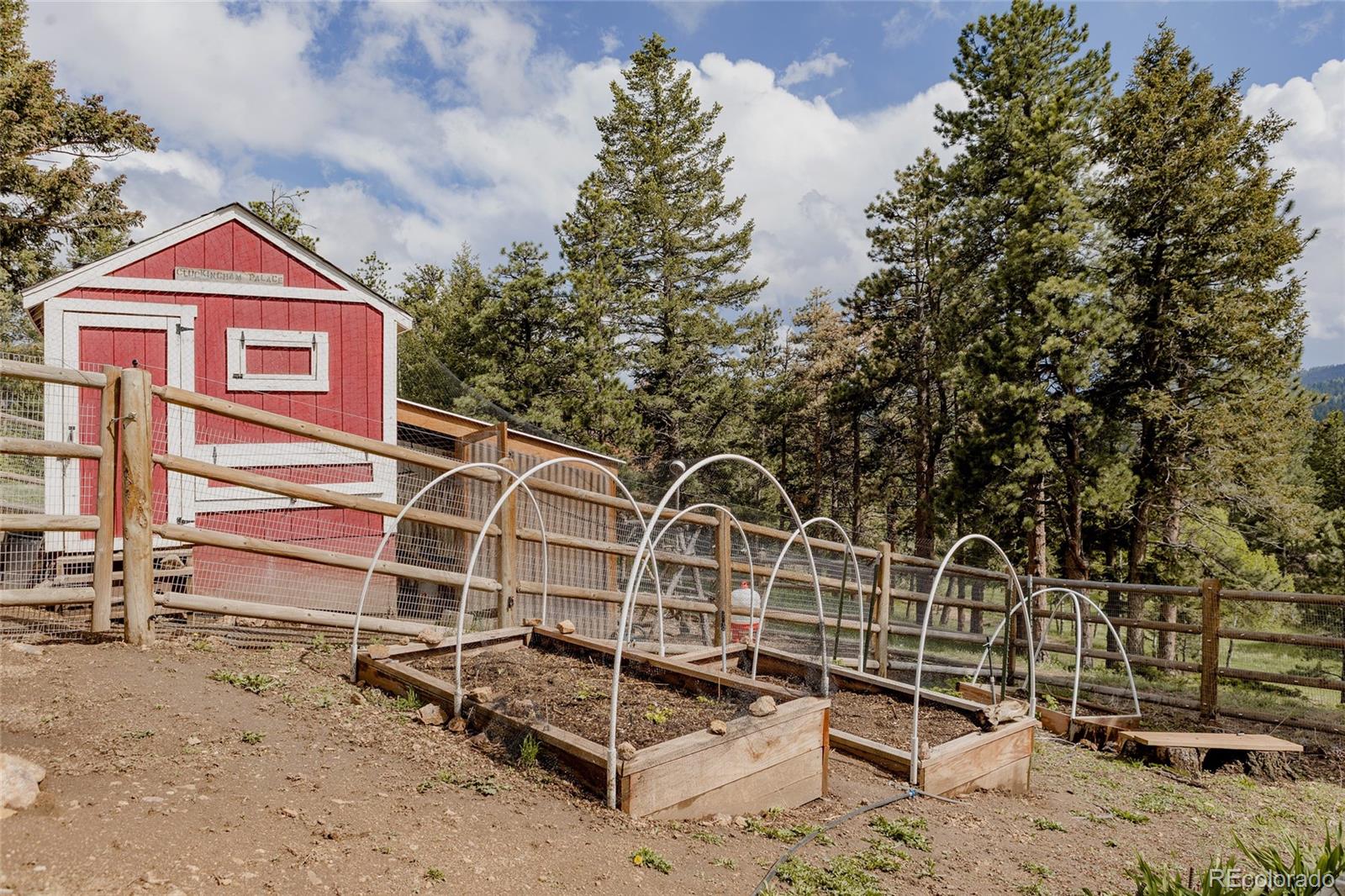 MLS Image #40 for 8626  junco trail,evergreen, Colorado