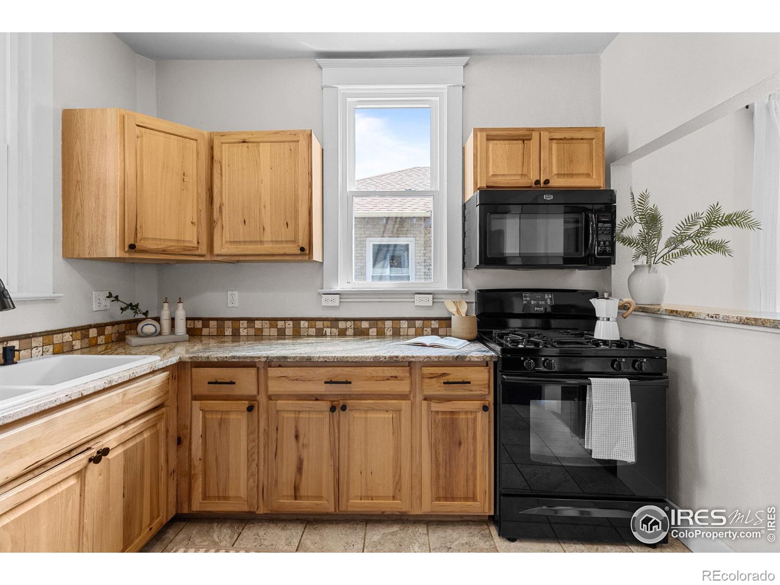 MLS Image #17 for 4594  beach court,denver, Colorado