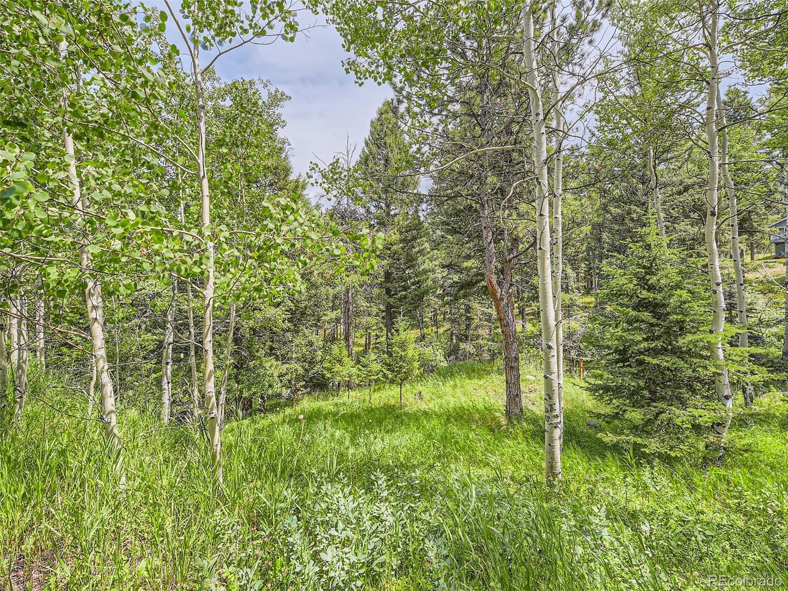 MLS Image #22 for 12348  quartz spur,conifer, Colorado