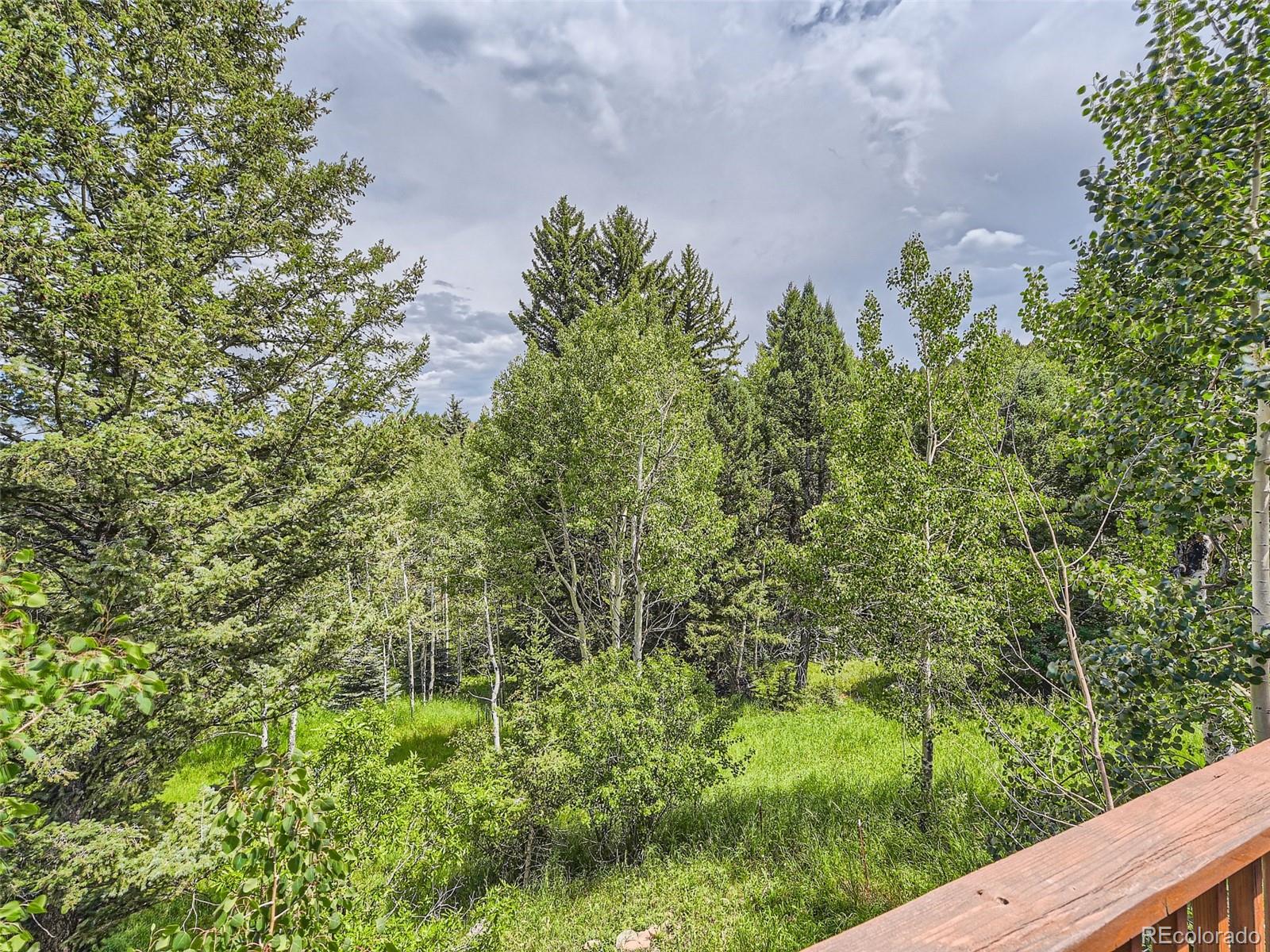 MLS Image #24 for 12348  quartz spur,conifer, Colorado
