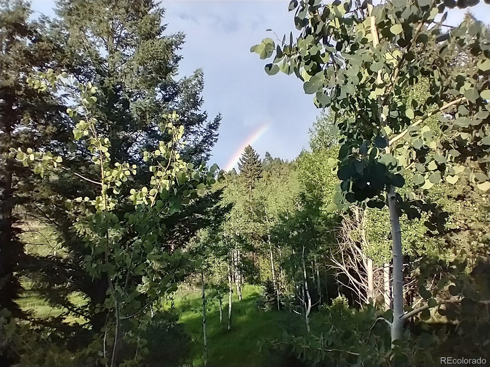 MLS Image #28 for 12348  quartz spur,conifer, Colorado