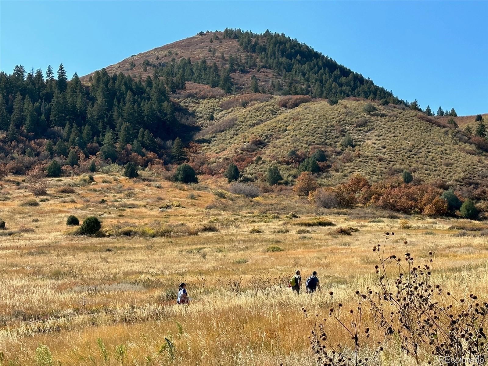 MLS Image #30 for 12348  quartz spur,conifer, Colorado