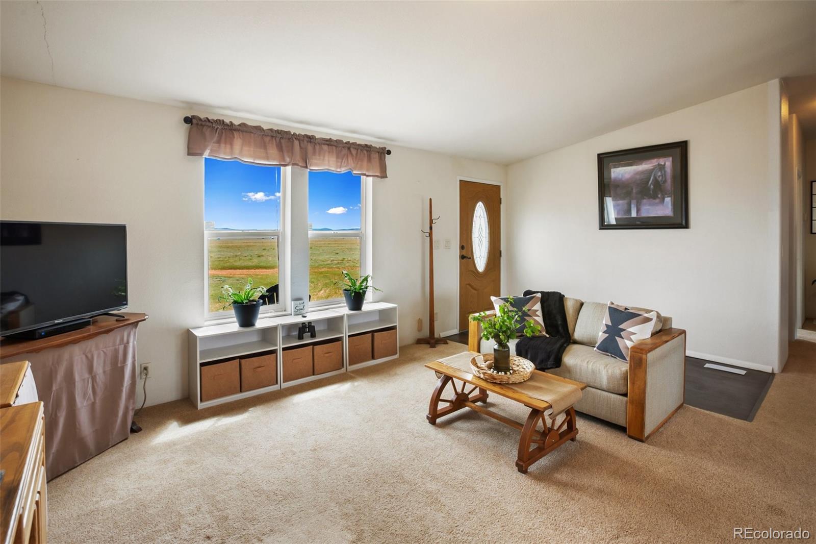 MLS Image #10 for 463  snowshoe lane,lake george, Colorado