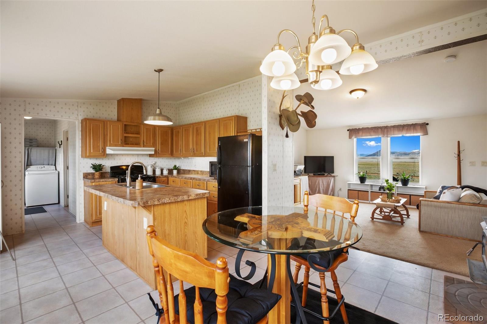 MLS Image #14 for 463  snowshoe lane,lake george, Colorado