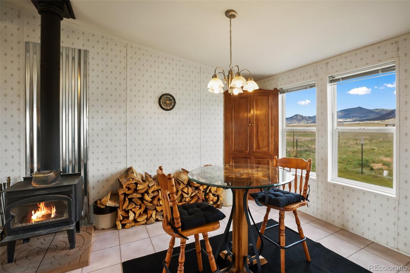 MLS Image #15 for 463  snowshoe lane,lake george, Colorado