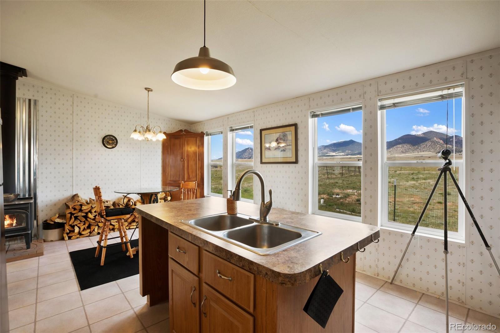 MLS Image #16 for 463  snowshoe lane,lake george, Colorado