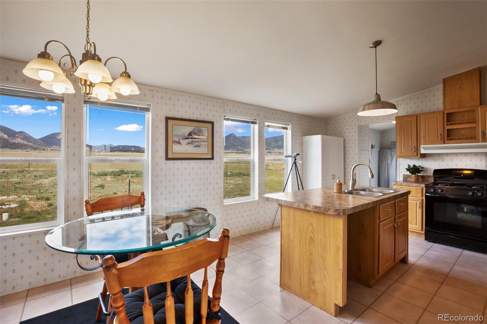MLS Image #17 for 463  snowshoe lane,lake george, Colorado