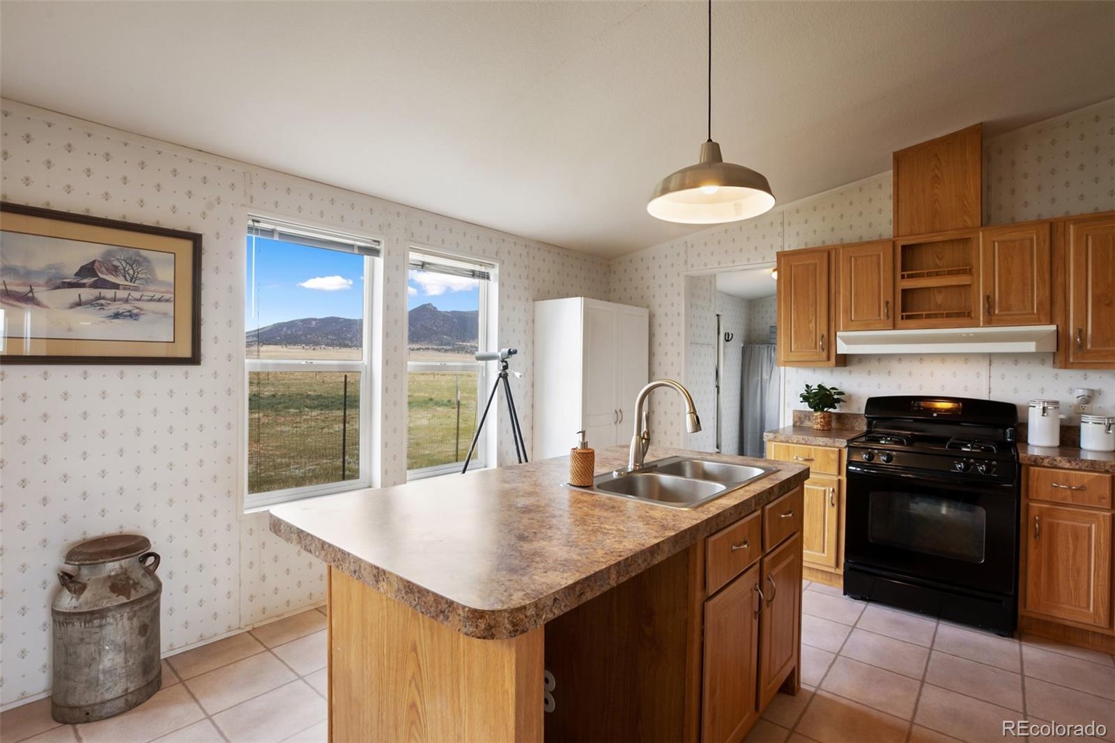MLS Image #18 for 463  snowshoe lane,lake george, Colorado