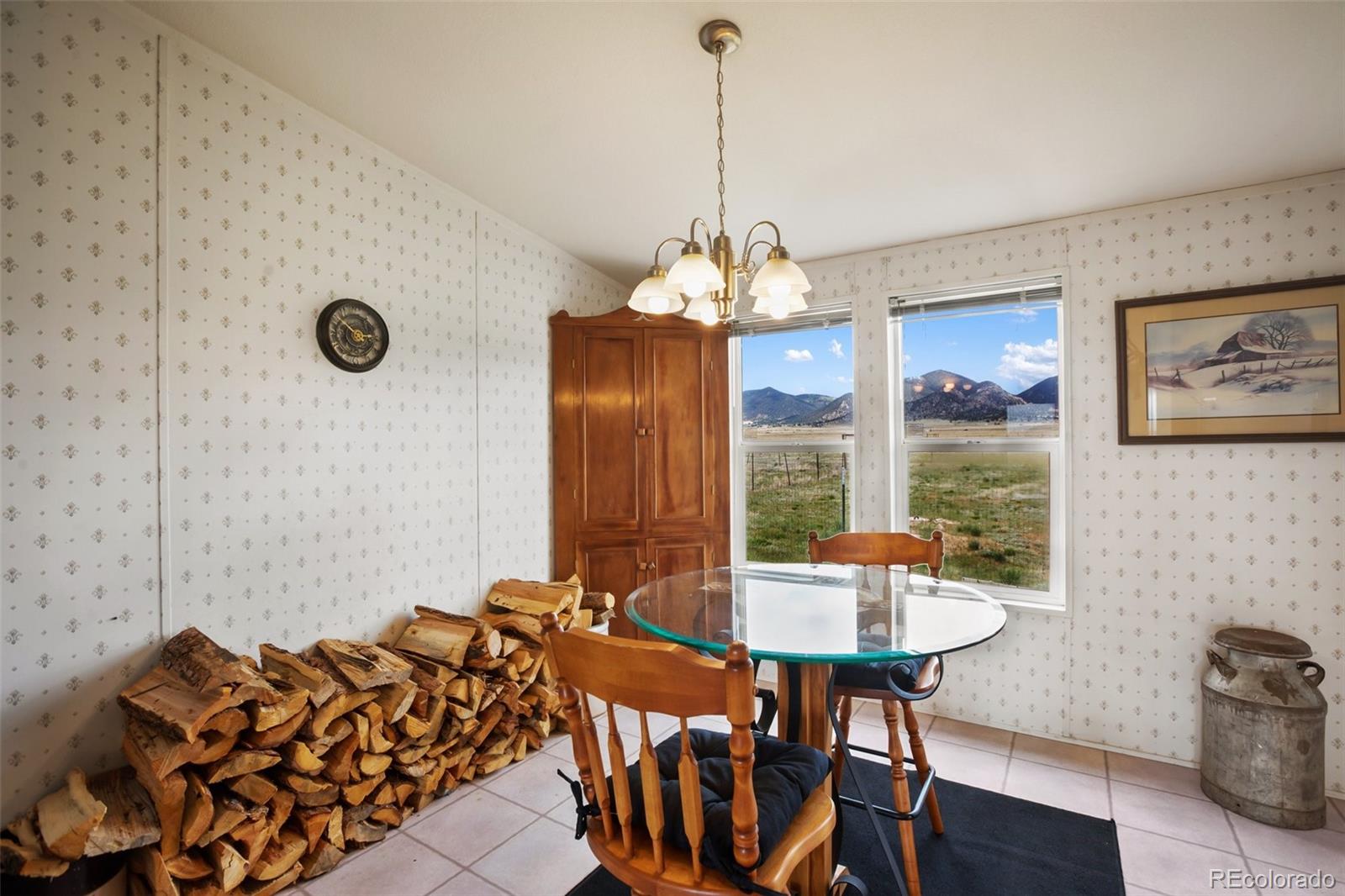 MLS Image #19 for 463  snowshoe lane,lake george, Colorado