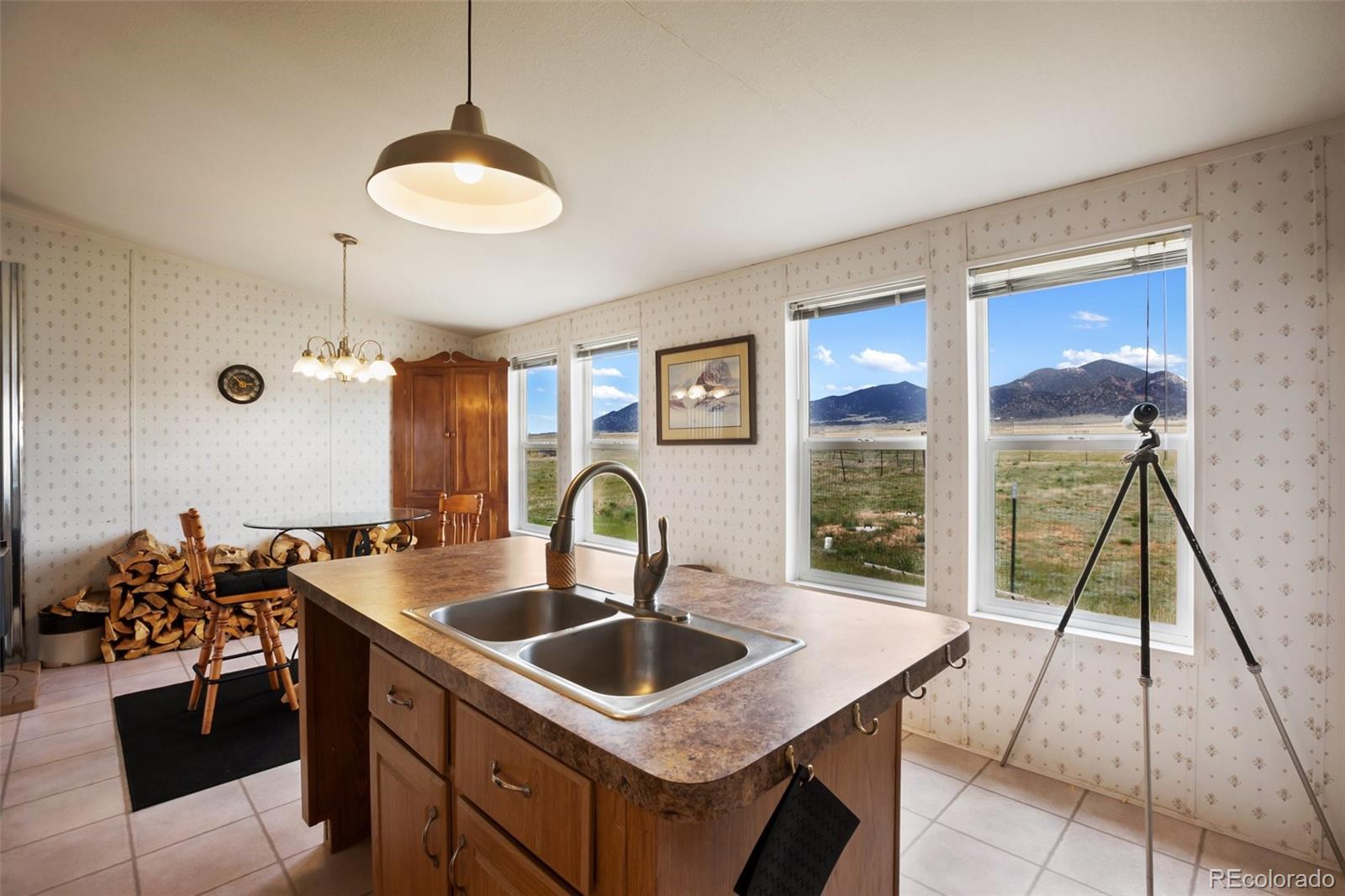 MLS Image #20 for 463  snowshoe lane,lake george, Colorado