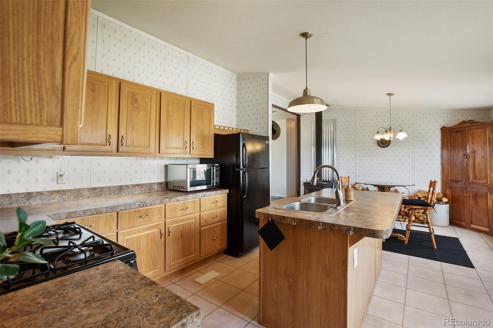 MLS Image #21 for 463  snowshoe lane,lake george, Colorado
