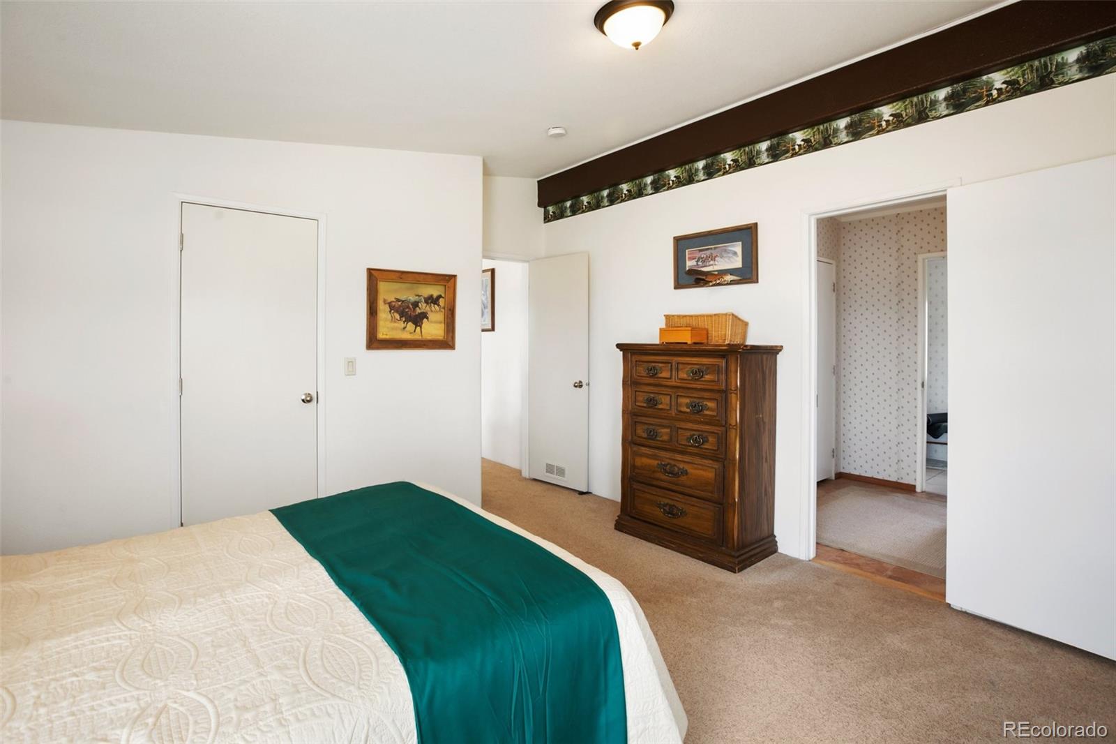 MLS Image #22 for 463  snowshoe lane,lake george, Colorado