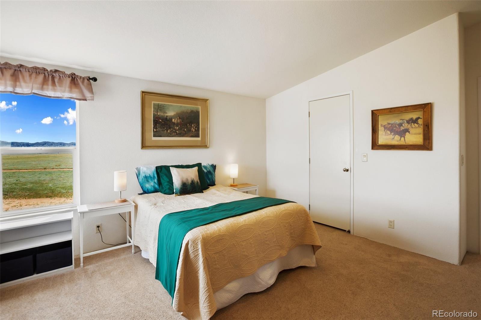 MLS Image #25 for 463  snowshoe lane,lake george, Colorado