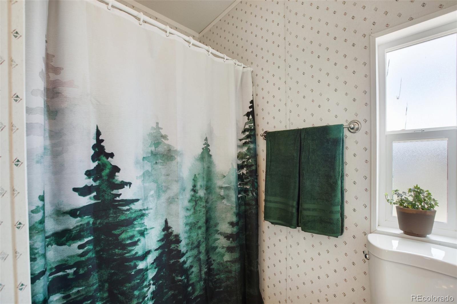 MLS Image #28 for 463  snowshoe lane,lake george, Colorado