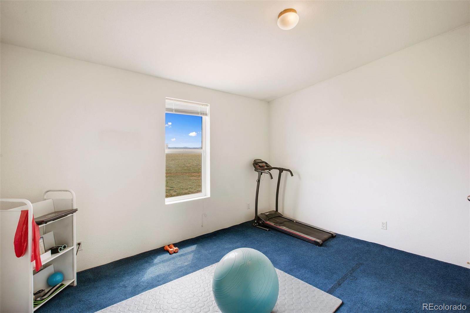 MLS Image #30 for 463  snowshoe lane,lake george, Colorado