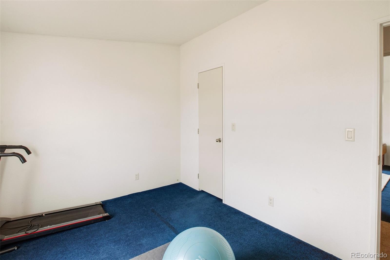MLS Image #31 for 463  snowshoe lane,lake george, Colorado