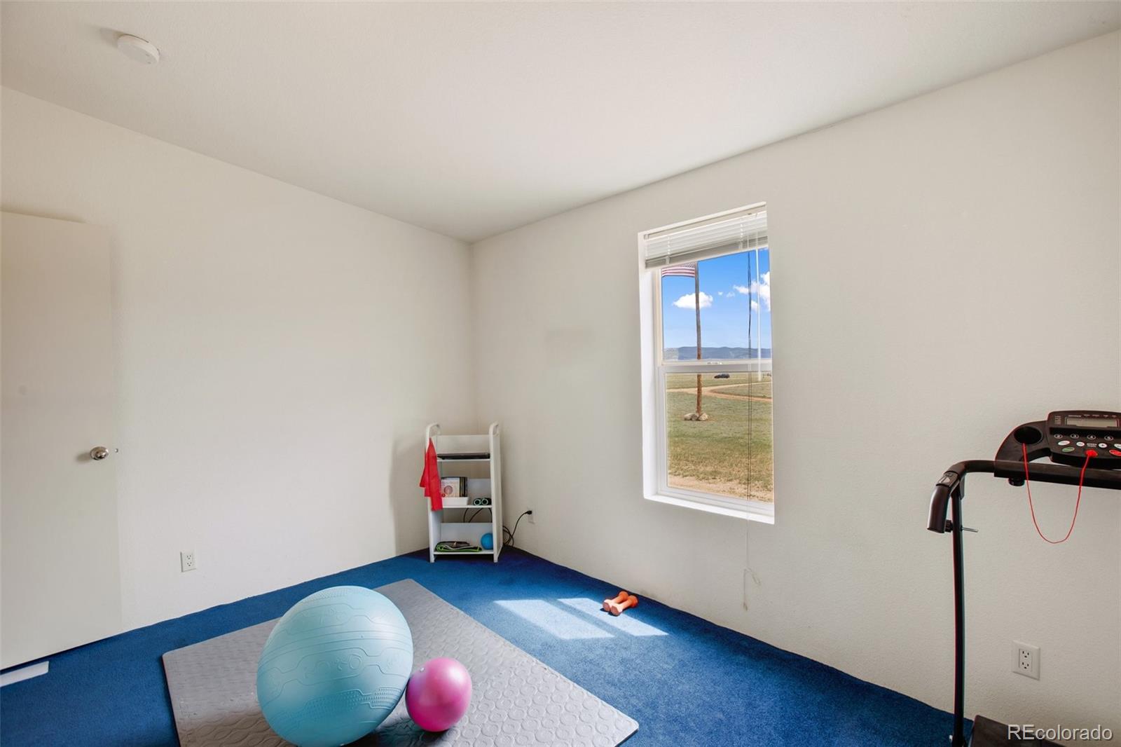 MLS Image #32 for 463  snowshoe lane,lake george, Colorado