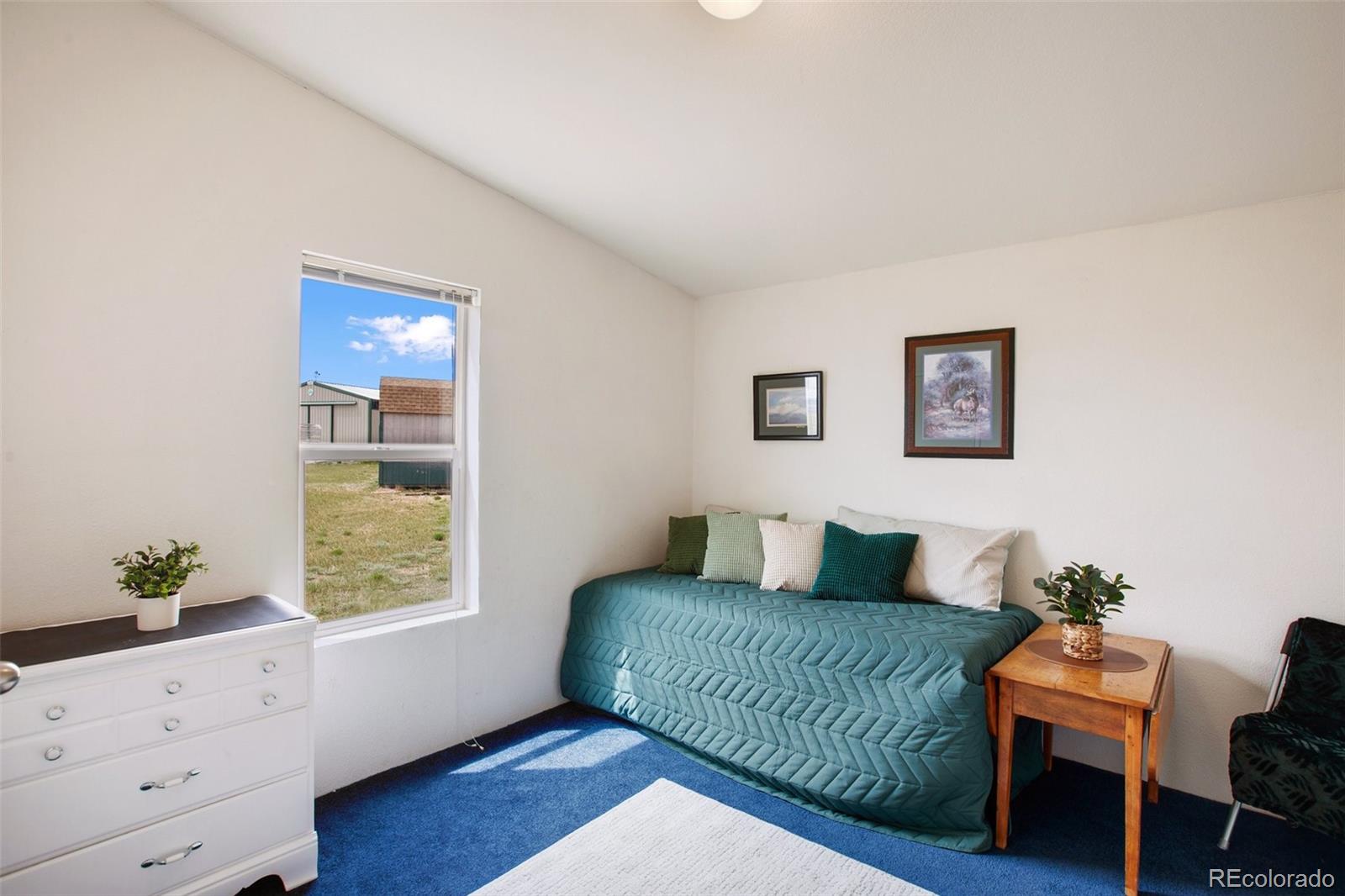 MLS Image #33 for 463  snowshoe lane,lake george, Colorado