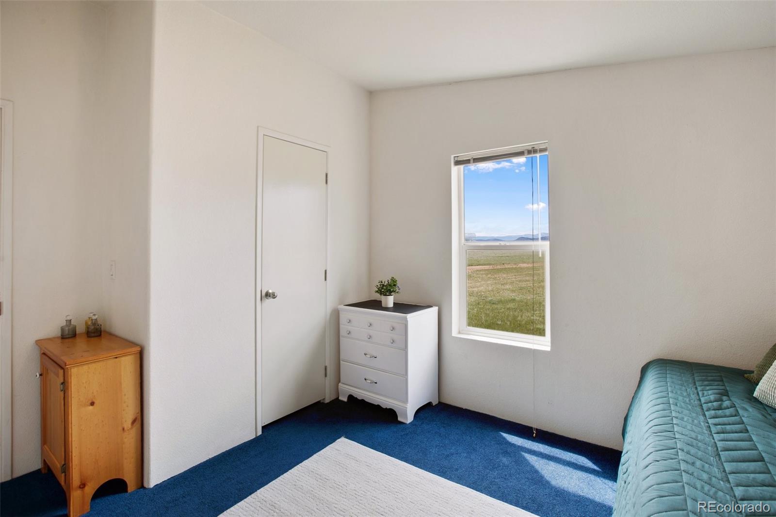 MLS Image #34 for 463  snowshoe lane,lake george, Colorado