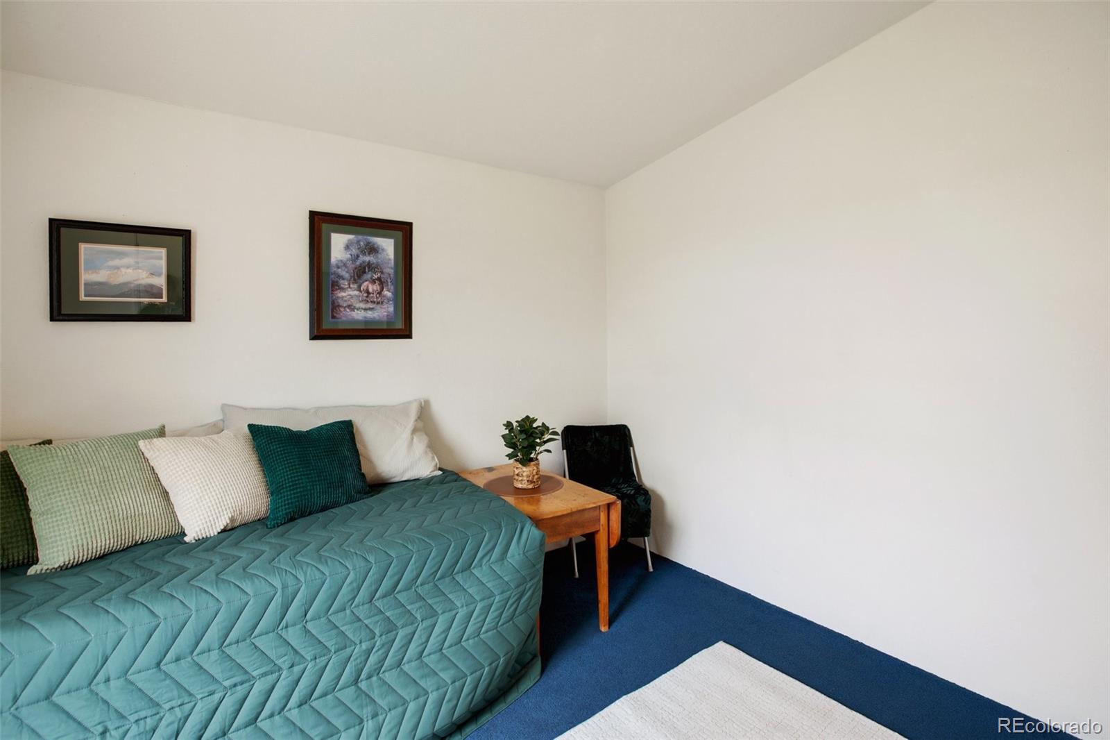 MLS Image #35 for 463  snowshoe lane,lake george, Colorado