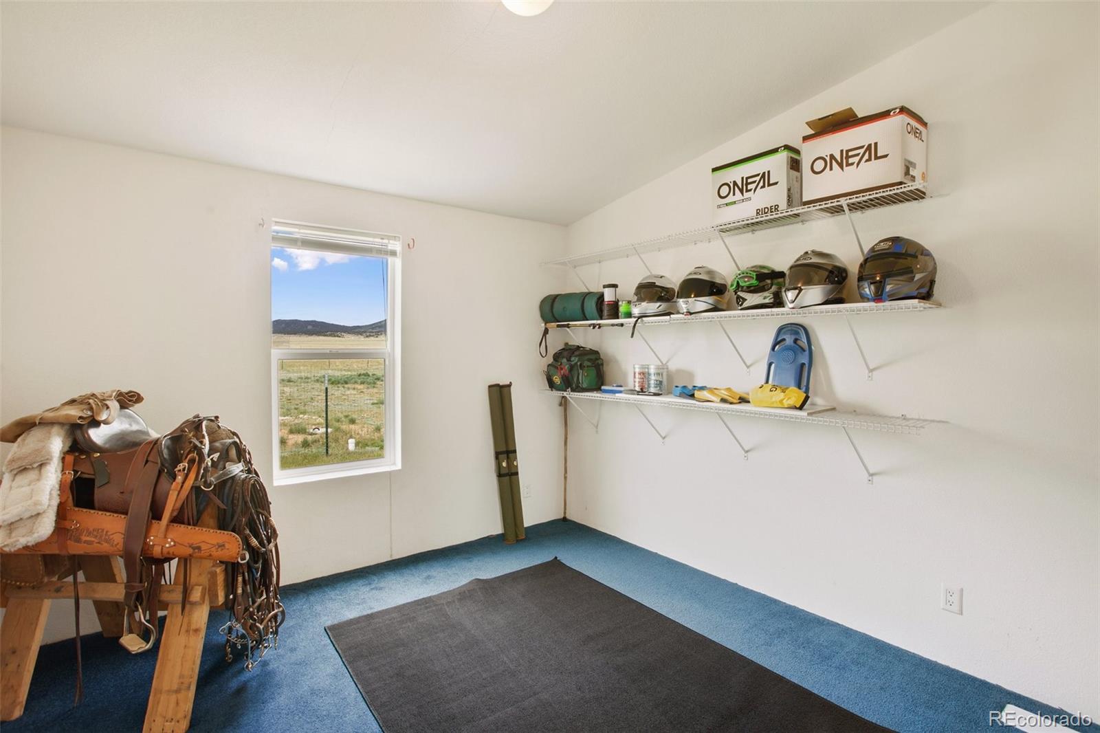 MLS Image #36 for 463  snowshoe lane,lake george, Colorado