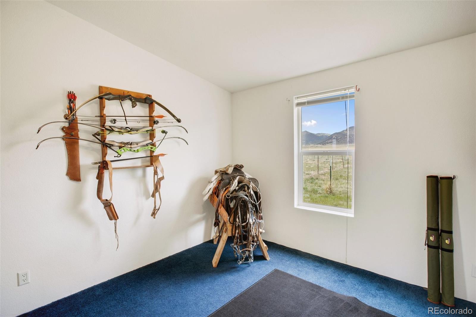 MLS Image #37 for 463  snowshoe lane,lake george, Colorado