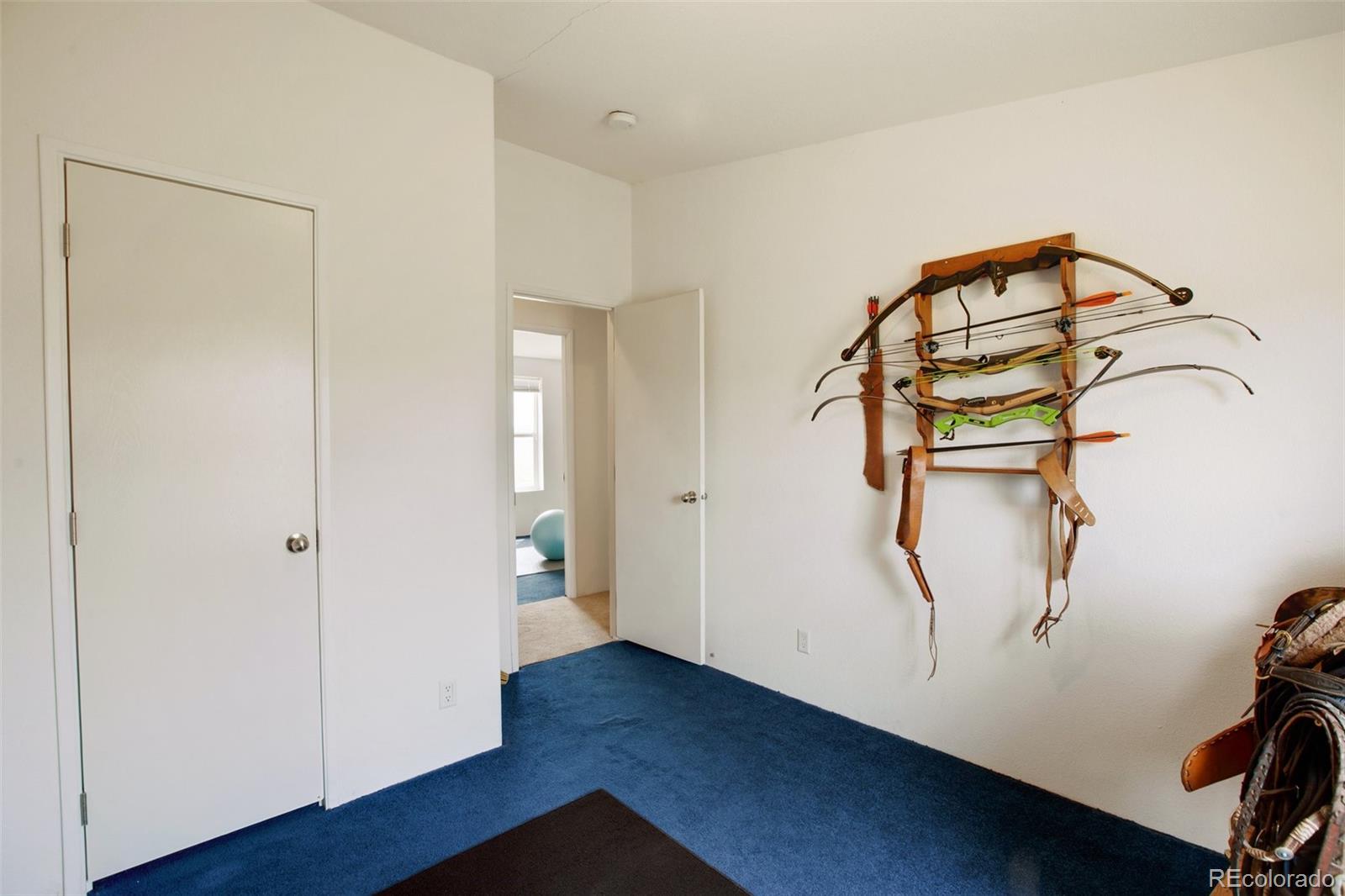 MLS Image #38 for 463  snowshoe lane,lake george, Colorado