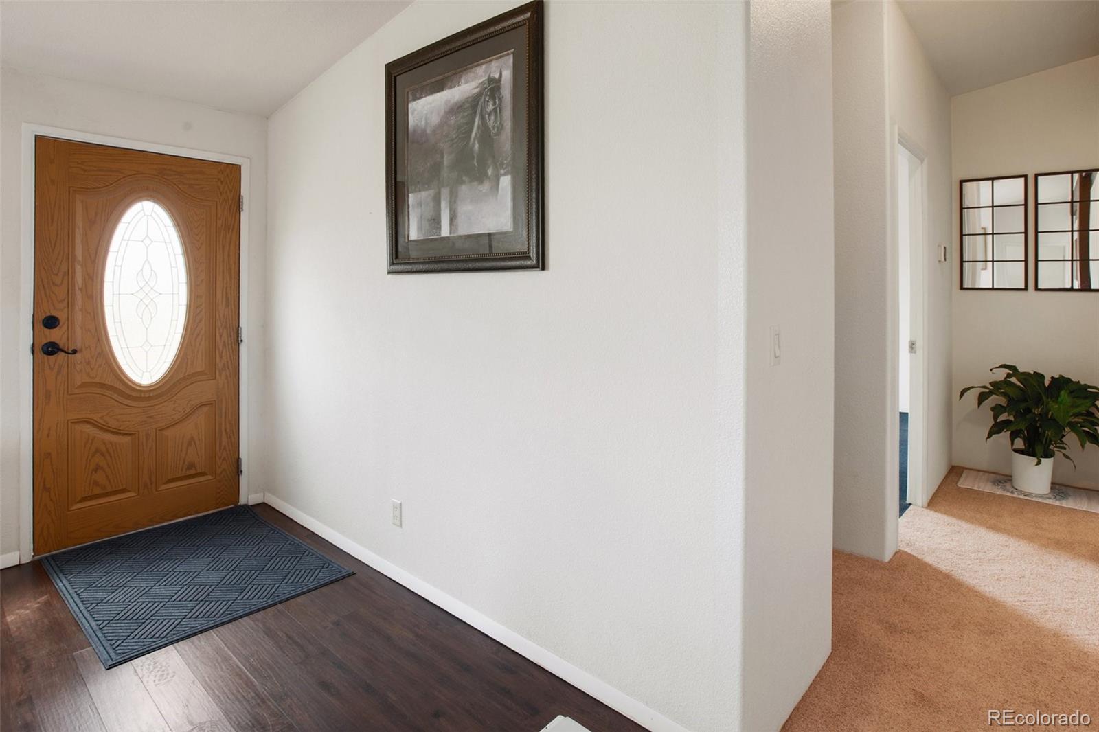 MLS Image #39 for 463  snowshoe lane,lake george, Colorado