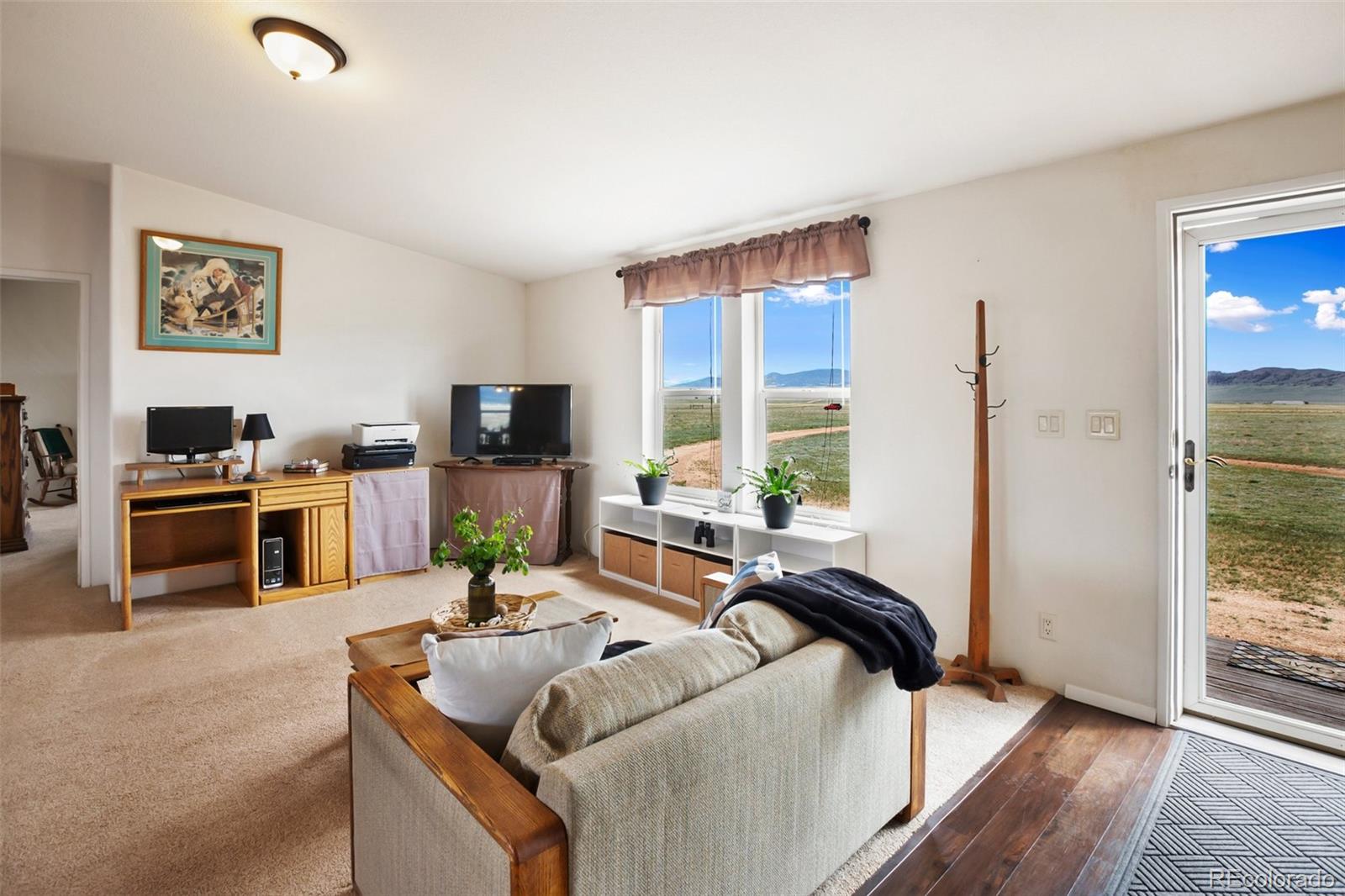 MLS Image #9 for 463  snowshoe lane,lake george, Colorado