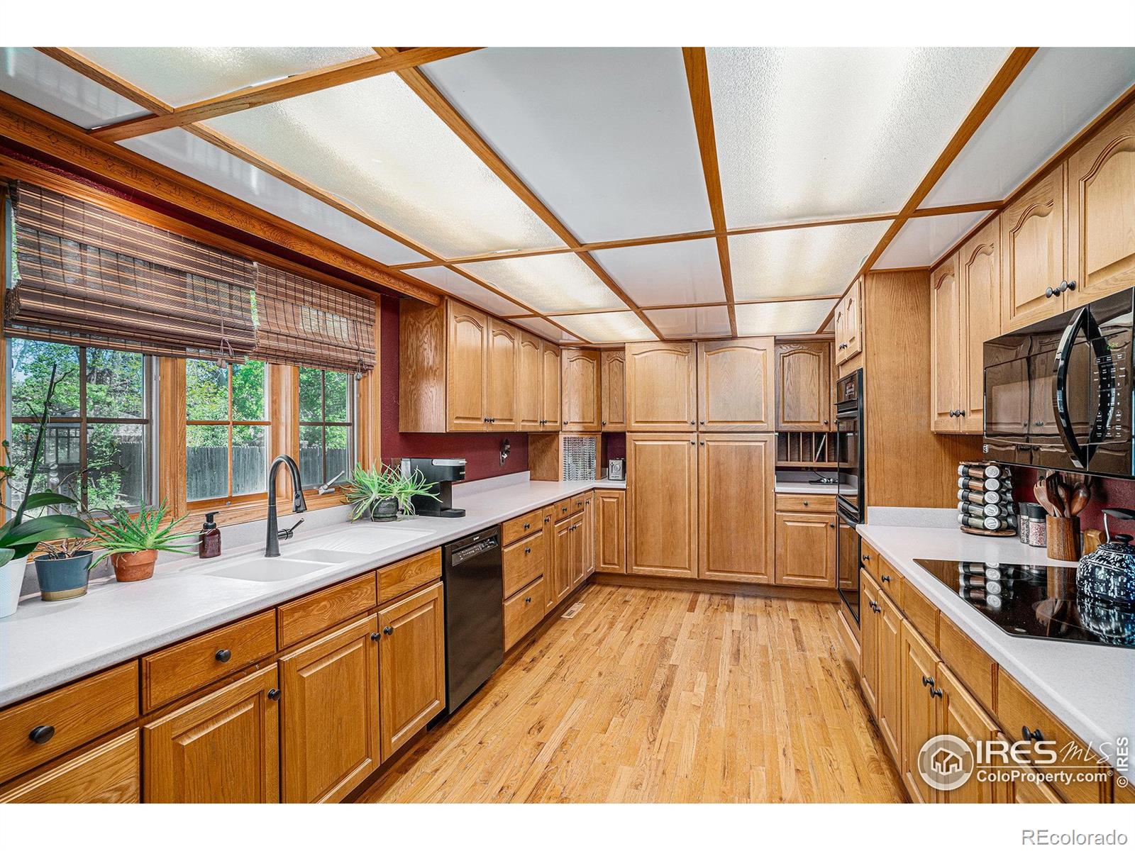 MLS Image #10 for 514  palisade mountain drive,windsor, Colorado