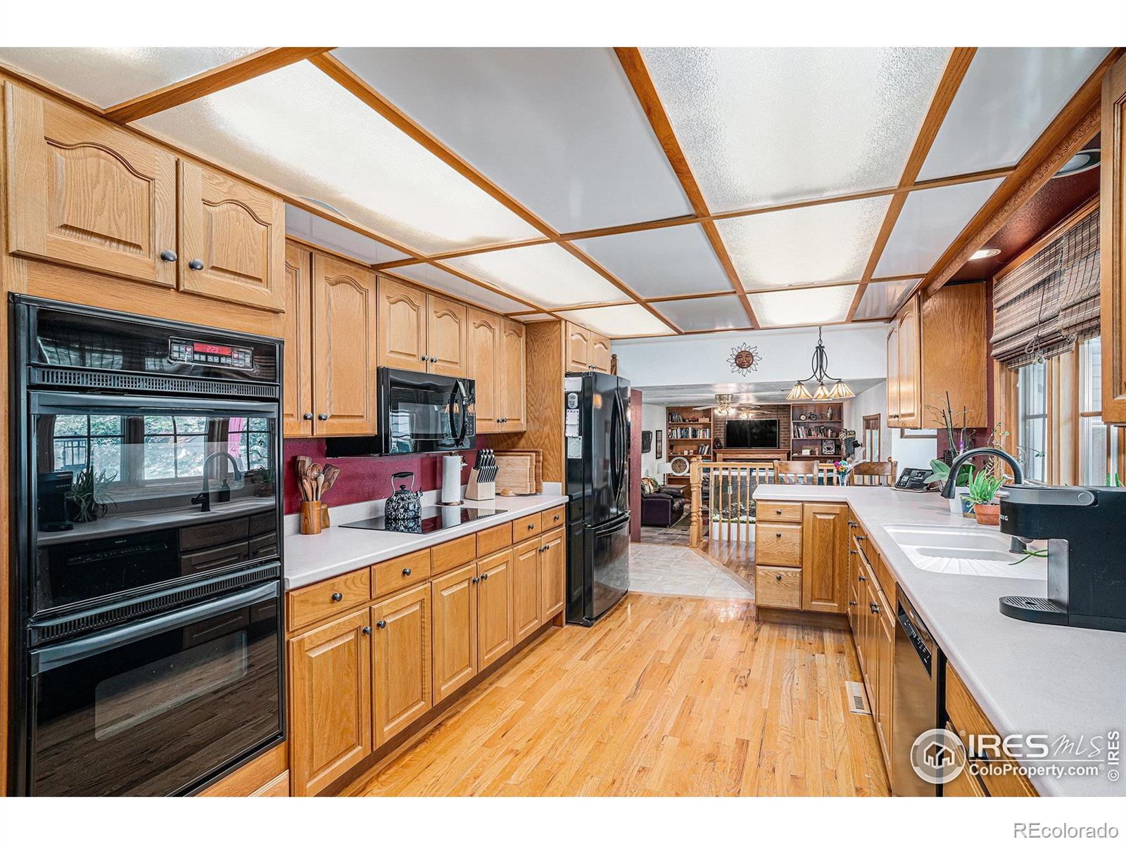 MLS Image #11 for 514  palisade mountain drive,windsor, Colorado