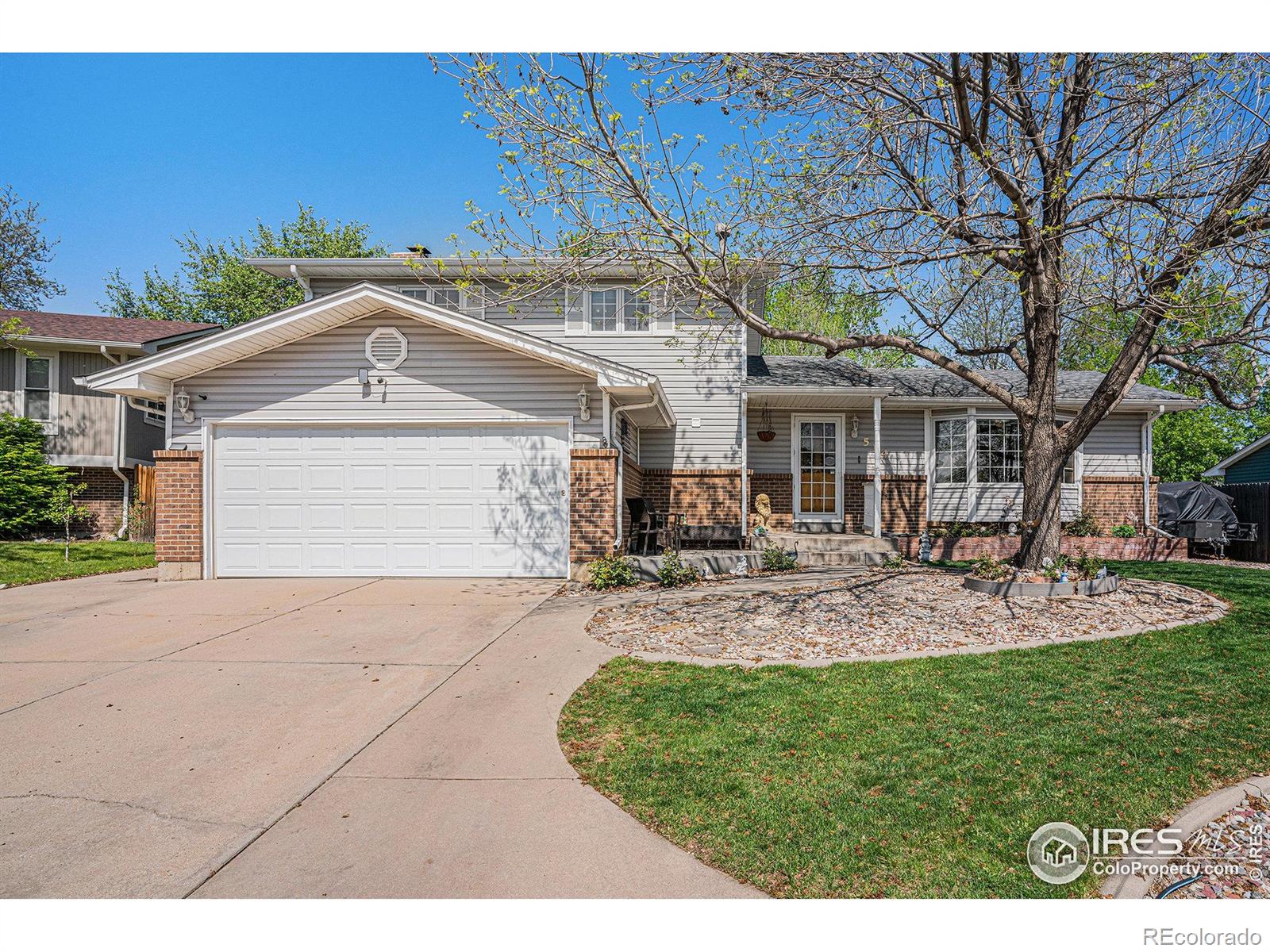 MLS Image #2 for 514  palisade mountain drive,windsor, Colorado