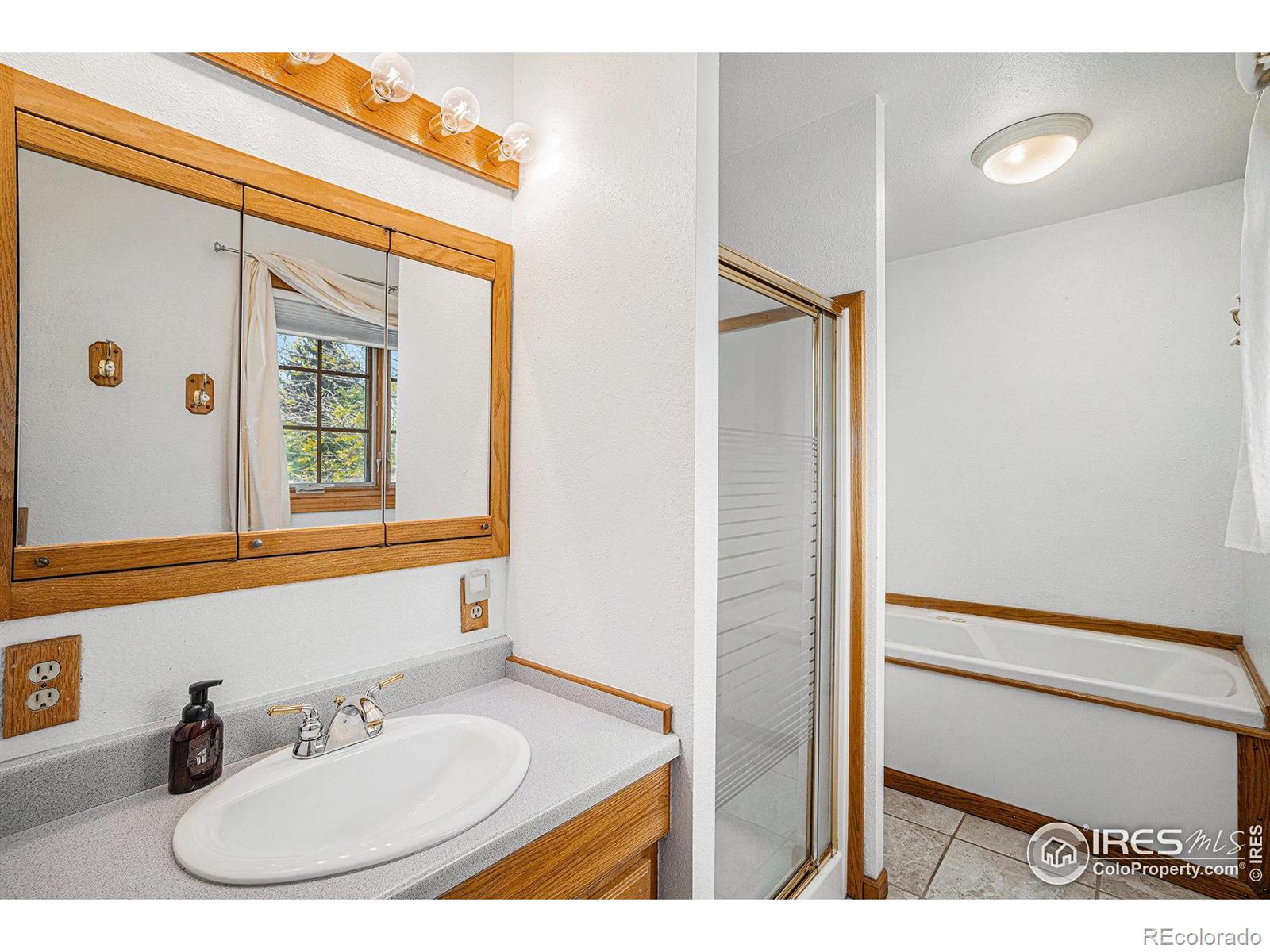 MLS Image #20 for 514  palisade mountain drive,windsor, Colorado
