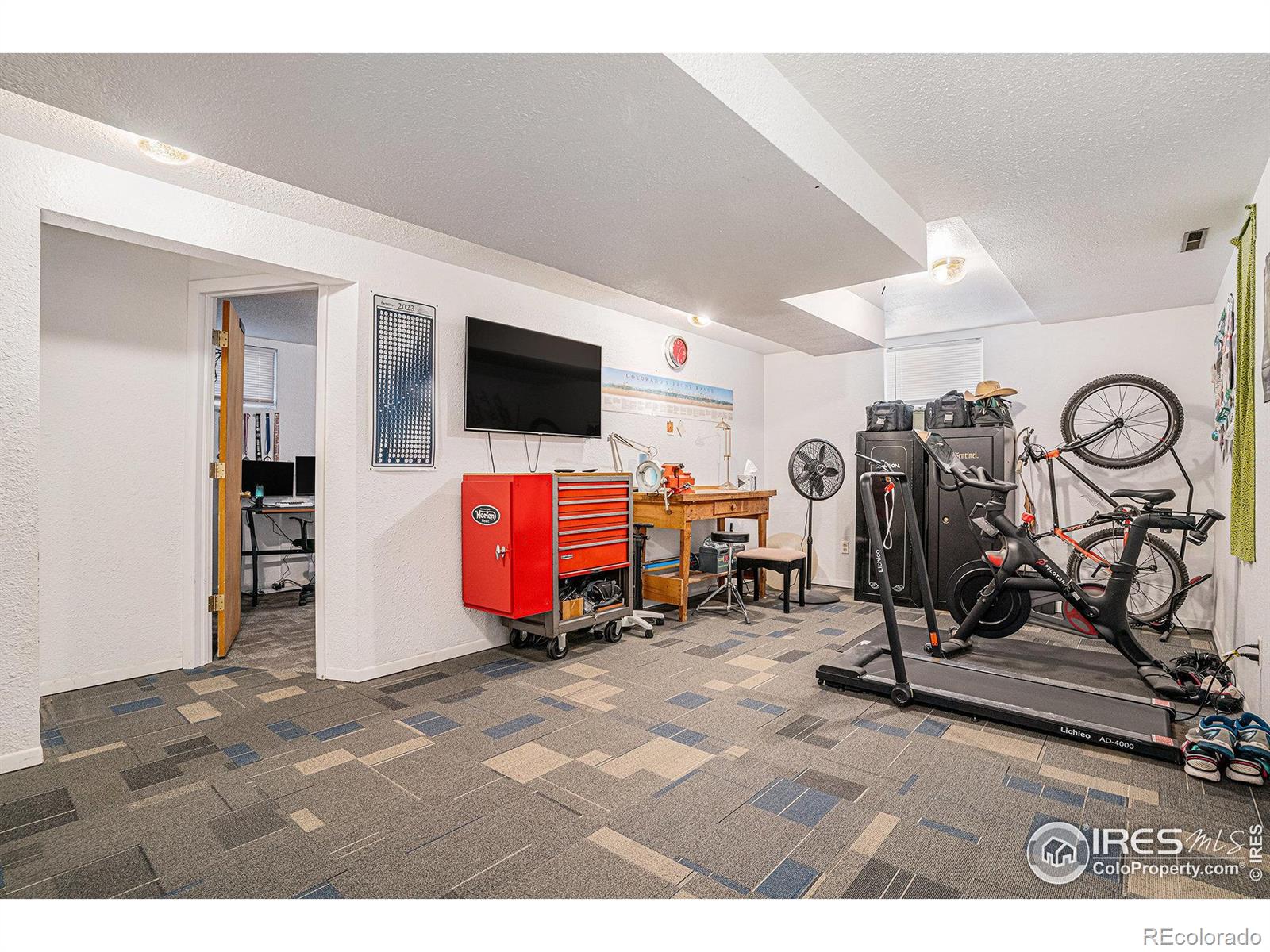 MLS Image #23 for 514  palisade mountain drive,windsor, Colorado