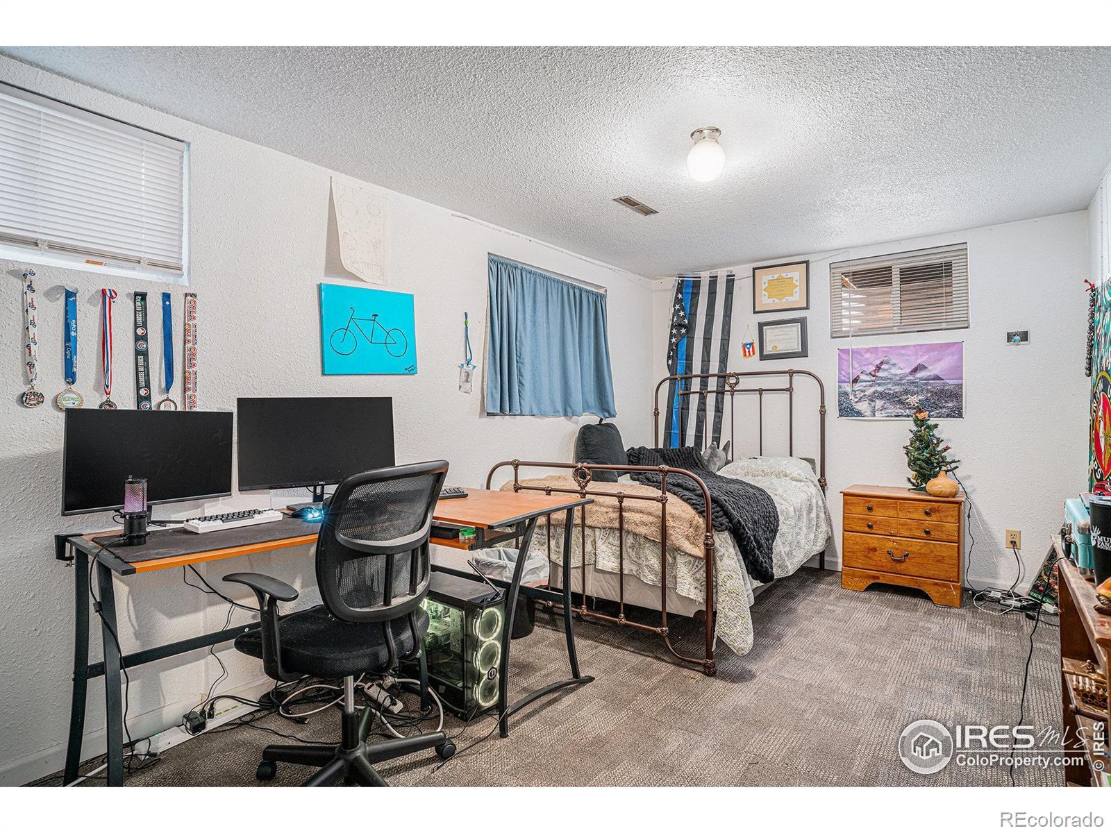 MLS Image #24 for 514  palisade mountain drive,windsor, Colorado